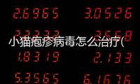 小貓皰疹病毒怎么治療(小貓皰疹病毒感染是怎么引起的)