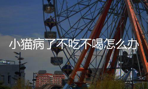 小貓病了不吃不喝怎么辦(小貓病了是什么癥狀)