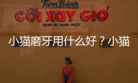 小貓磨牙用什么好？小貓磨牙用什么木頭