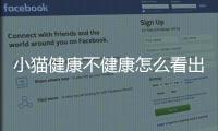 小貓健康不健康怎么看出來？小貓健康不健康怎么看病