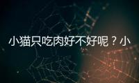 小貓只吃肉好不好呢？小貓只吃肉不吃貓糧怎么糾正