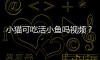 小貓可吃活小魚嗎視頻？寵物貓可以吃活小魚嗎