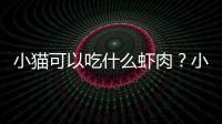 小貓可以吃什么蝦肉？小貓可以吃什么蝦類