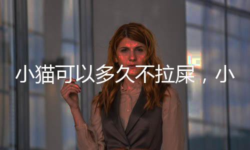 小貓可以多久不拉屎，小貓可以多久不拉粑粑