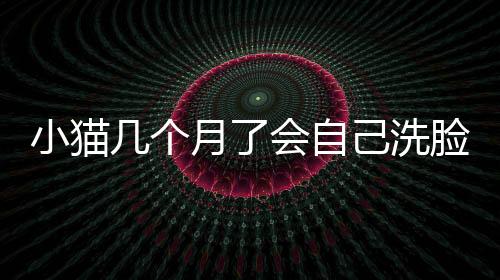 小貓幾個月了會自己洗臉？貓咪幾個月會自己用貓砂