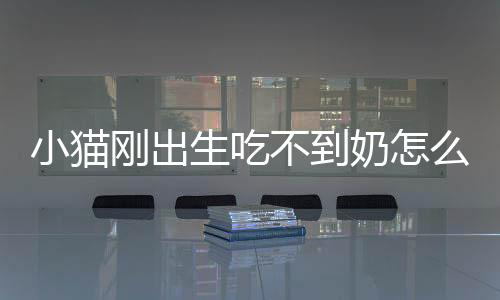 小貓剛出生吃不到奶怎么辦(小貓出生吃不到奶怎么辦)