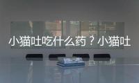 小貓吐吃什么藥？小貓吐吃什么