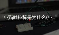 小貓吐拉稀是為什么(小貓吐拉稀吃什么藥)