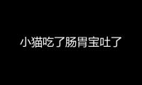 小貓吃了腸胃寶吐了
