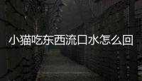 小貓吃東西流口水怎么回事？小貓吃東西流口水正常嗎