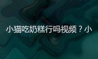 小貓吃奶糕行嗎視頻？小貓吃奶糕好還是貓糧