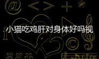 小貓吃雞肝對身體好嗎視頻？小貓吃雞肝有什么好處