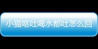 小貓嘔吐喝水都吐怎么回事？小貓嘔吐喝水都吐怎么辦