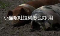 小貓嘔吐拉稀怎么辦 用什么藥(小貓嘔吐還拉稀怎么回事)