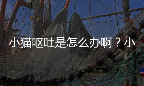 小貓嘔吐是怎么辦啊？小貓嘔吐該怎么辦