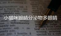 小貓咪眼睛分泌物多眼睛睜不開(小貓咪的眼睛流膿睜不開)