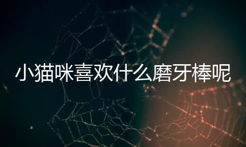 小貓咪喜歡什么磨牙棒呢？貓喜歡用什么磨牙