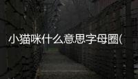 小貓咪什么意思字母圈(小貓咪什么意思污)