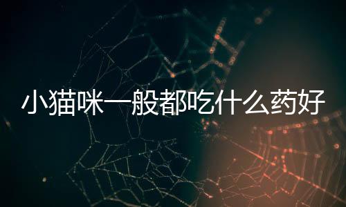 小貓咪一般都吃什么藥好？小貓喂什么藥