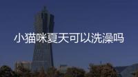 小貓咪夏天可以洗澡嗎
