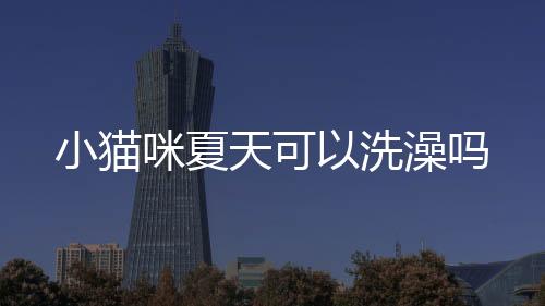 小貓咪夏天可以洗澡嗎