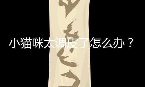 小貓咪太調(diào)皮了怎么辦？小貓咪太調(diào)皮了作文