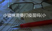 小貓咪需要打疫苗嗎(小貓咪打疫苗時間)