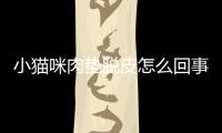 小貓咪肉墊脫皮怎么回事？貓咪肉墊褪皮