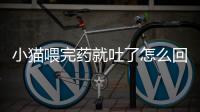 小貓喂完藥就吐了怎么回事？小貓喂完藥就吐了正常嗎