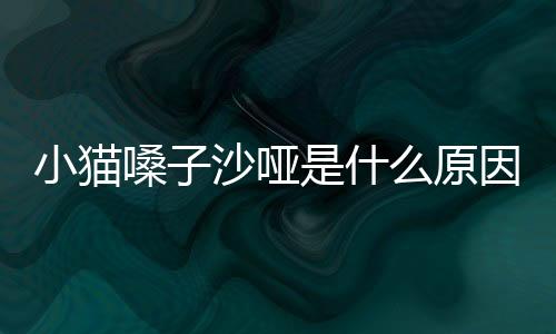 小貓嗓子沙啞是什么原因(小貓嗓子啞了叫不出聲音)