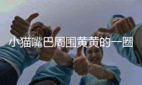 小貓嘴巴周?chē)S黃的一圈怎么辦(小貓嘴巴邊上黃黃的)