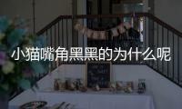小貓嘴角黑黑的為什么呢？小貓嘴角發黑什么原因