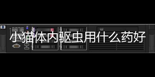 小貓體內驅蟲用什么藥好(小貓多大可以體內驅蟲)