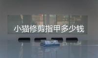 小貓修剪指甲多少錢