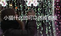 小貓什么的可以做疫苗接種？貓咪哪些疫苗是必須打的