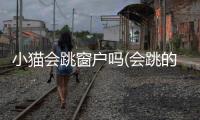 小貓會跳窗戶嗎(會跳的小貓怎么折)