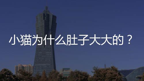 小貓為什么肚子大大的？為什么貓貓肚子大