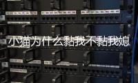 小貓為什么黏我不黏我媳婦呢？小貓為什么粘人不是主人身體有問題呀