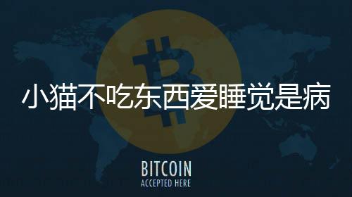 小貓不吃東西愛睡覺是病了嗎？小貓不吃東西一直睡覺