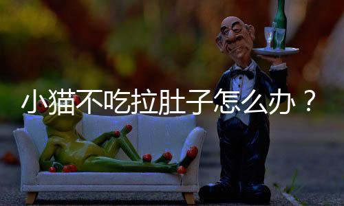 小貓不吃拉肚子怎么辦？小貓不吃拉肚子吃什么藥