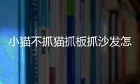 小貓不抓貓抓板抓沙發怎么辦(怎么教小貓用貓抓板)