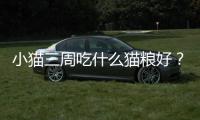 小貓三周吃什么貓糧好？三周大小貓吃什么