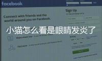 小貓怎么看是眼睛發炎了？小貓怎么看是眼睛發炎還是感冒