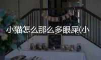 小貓怎么那么多眼屎(小貓擦眼屎一直流眼屎)