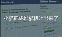 小貓把成堆貓糧吐出來了怎么辦(貓把貓糧吐出來了像便便)