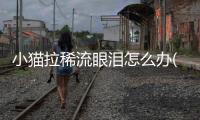 小貓拉稀流眼淚怎么辦(小貓拉稀流眼淚但是精神狀態(tài)良好)