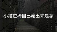 小貓拉稀自己流出來是怎么回事??？小貓拉稀控制不住老流出來