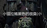 小貓拉稀黑色的很臭(小貓拉稀黑色的屎)