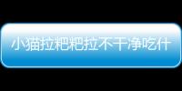 小貓拉粑粑拉不干凈吃什么藥(小貓拉干粑粑正常嗎)