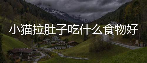 小貓拉肚子吃什么食物好(小貓拉肚子應該吃什么食物好)